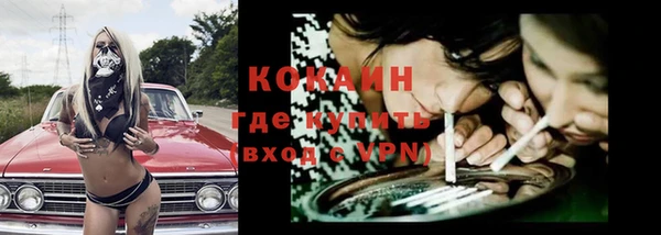 ешки Инта