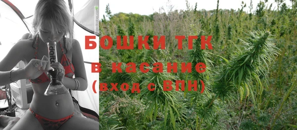 шишки Зеленодольск