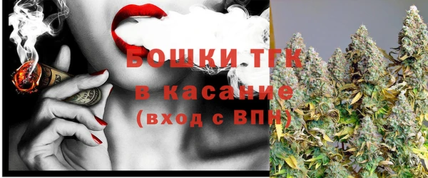 дурь Инсар