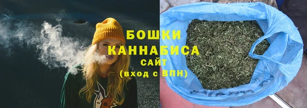 ешки Инта