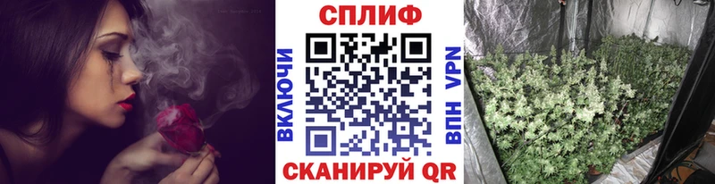 Бошки Шишки план  Купить где  Жердевка 